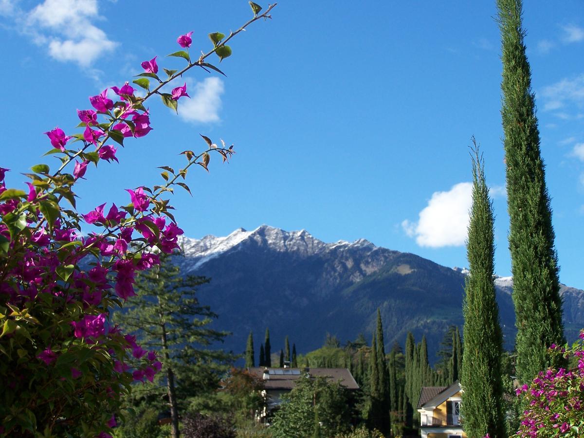 Hotel Wieslhof คอลเลปิเอตรา ภายนอก รูปภาพ